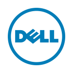 24 Dell-Logo